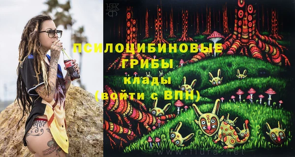 PSILOCYBIN Бородино